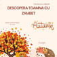 Descopera toamna cu zambet, 22 fise de lucru, varsta 3 +